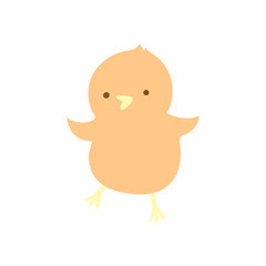  chicken kid on the white background