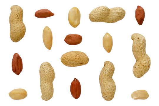 Peanuts in shell, peeled, isolated on white background, top view. Isolated set of peanuts on a white background, top view. Set of unpeeled peanuts in shells and grains. Peanuts isolated.