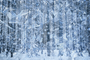 winter patterns window trees, abstract seasonal ice background