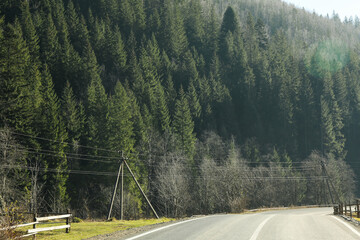 Empty road against amazing spruce forest and mountains