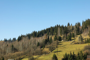 Mountain slopes with different trees against blue sky