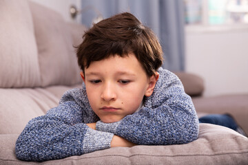 Portrait of boy sitting on comfortable sofa in the lounge room. High quality photo