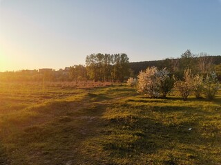 autumn landscape with trees