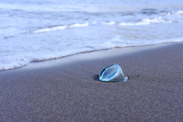 静岡県伊東市の砂浜