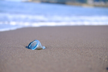 静岡県伊東市の砂浜