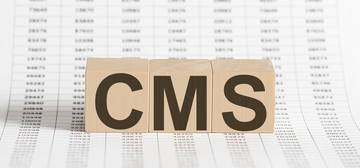 Fototapeta premium CMS Custom Management System written on a wooden cube on chart