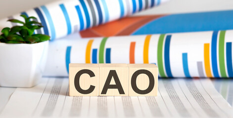 Word CAO made with wood building blocks on the chart background
