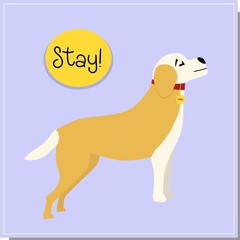 DOG training, command to stand. Beautiful dog training, great design for any purpose. Colleagues work together.