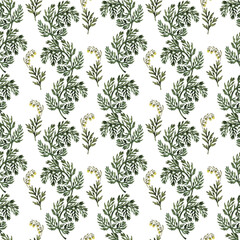 Fototapeta na wymiar Watercolor seamless pattern with stylized twigs, flowers and leaves of the Wormwood plant