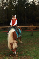 person riding horse