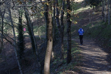 Walking in an urban park