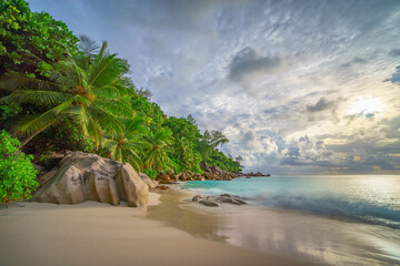 Fototapeta na wymiar palm trees on tropical beach anse georgette on praslin island. paradise on the seychelles