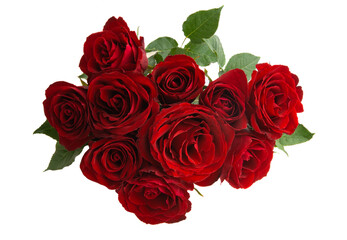 Obraz premium bouquet of red roses isolated
