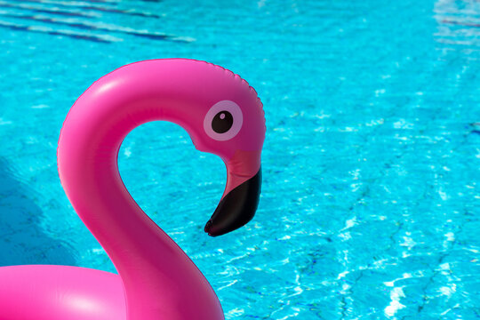 Tropical background. Pink inflatable flamingo in pool water for summer beach background. Minimal summer concept.
