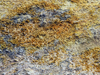 Boden im Hochtemperaturgebiet auf der Reykjanes-Halbinsel, Island