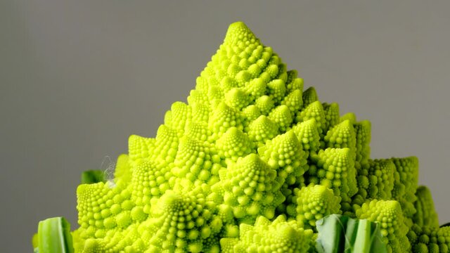  おしゃれ野菜ロマネスコのクローズアップ