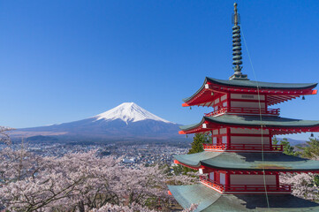 山梨県からの富士山と五重塔と桜