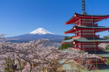 山梨県からの富士山と五重塔と桜