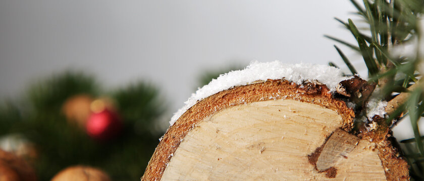 Detail einer Baumscheibe mit schnee