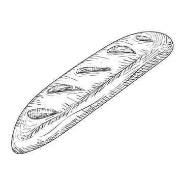 recommend clip art: Bread, baguette, loaf. Bakery products. Baking food isolated illustration. Hand drawn buns doodle. Pencil chalk drawing sketches. Graphics, shading, line art.