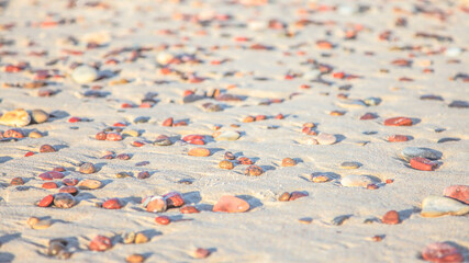 small pebbles on the golden sand of the beach under the sun