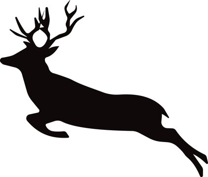 A beautiful deer with big horns is running. Vector illustration.
