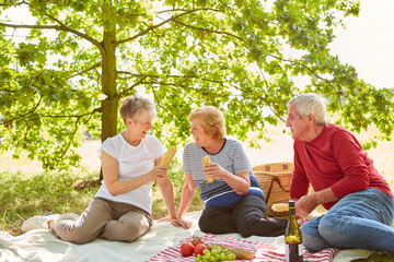 Group of seniors has fun picnic in the park