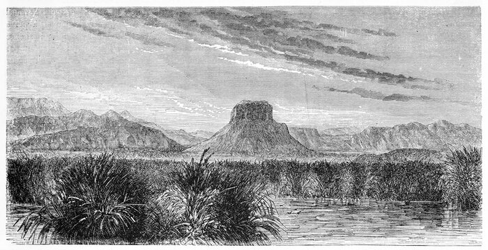 Vast wetland with aquatic vegetation and huge rocky mountains far in the distance in Ojo Lucero, and Laguna de los Patos, Mexico. Ancient grey tone etching style art by De Berard and Manini, 1861
