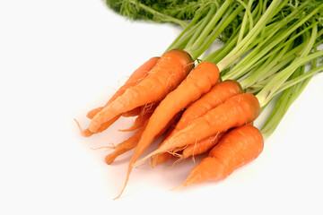 vegetable carrot isolate on white background