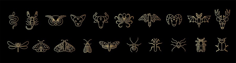 Outline golden icon set of mystic animals and insects. Butterfly, moth, dragonfly, spider, beetle, scorpion, snake, owl, deer, cat, bull, aries, raven, octopus, bat