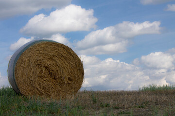 hay bale in tuscany countryside