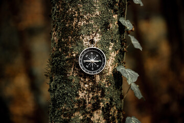 navigating the forest with a compass