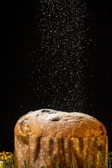 Close-up of panettone with sugar falling on black background, vertical