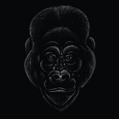 The Vector logo a monkey or gorilla named King Kong for tattoo or T-shirt design or outwear.  Cute print style a monkey or gorilla named King Kong background. This drawing would be nice to make
