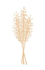Hand-drawn vector drawing in calm pastel colors. Bunch of wild steppe pampas grass, cortaderia plant. Bouquet of dried flowers, twigs of a panicle for boho decor, decoration.
