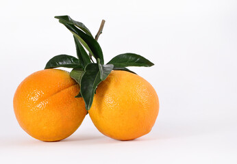 Arance siciliane con foglia