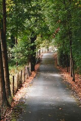 road in the mountain in autumn season in Bilbao, Spain