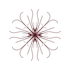 Flower with wavy lines on a white background