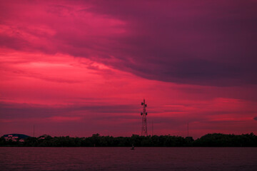 The abstract blurry background of the twilight light of the mangrove forest, with trees and cool...