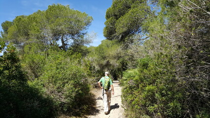 Fototapeta premium Wandern im Dünengebiet Platja Cala Agulla, Mallorca