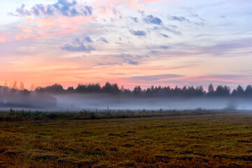 An early, gentle morning in the fields with the harvest. Mown grass and fog over the field.
