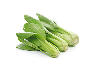 Bok choy vegetable isolated on the white background.