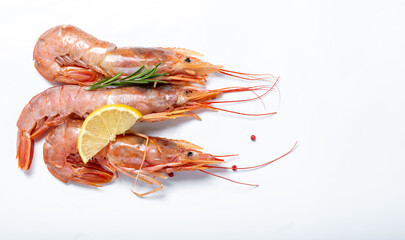 Three shrimps on a white background with free space for text.