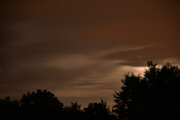 moon through clouds. photographed with exposure time. clouds in the dark. forest silhouette at night