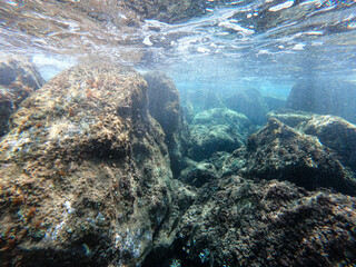 seabed with large stones. clear water of the tropical sea
