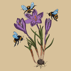 Botanical illustration with plant elements with lilac flowers and bumblebees