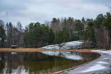 lake in the forest