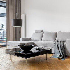 Gray sofa and black coffee table