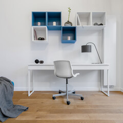 Study area in white and blue