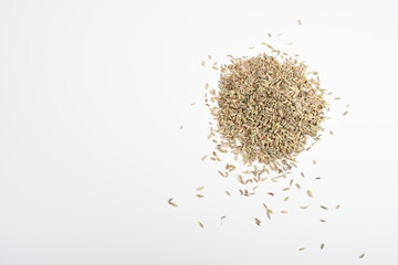 fennel seeds scattered on a plain white sheet